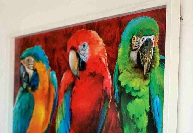 Apartamento en Cádiz - Mirador de la playa con Ascensor Grupo AC Gestion Apartamento en Cádiz - Mirador de la playa con Ascensor Grupo AC Gestion