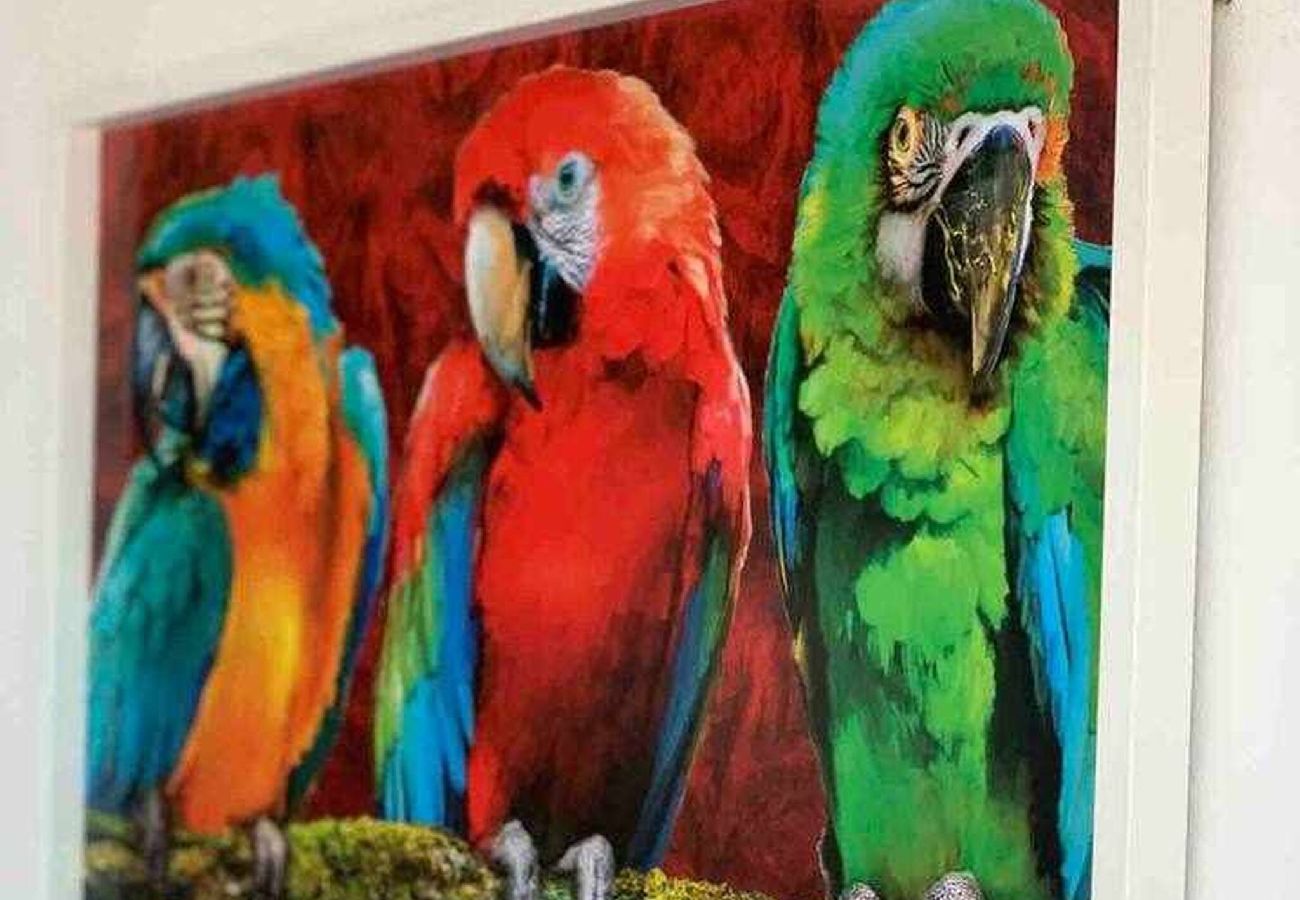 Apartamento en Cádiz - Mirador de la playa con Ascensor Grupo AC Gestion Apartamento en Cádiz - Mirador de la playa con Ascensor Grupo AC Gestion