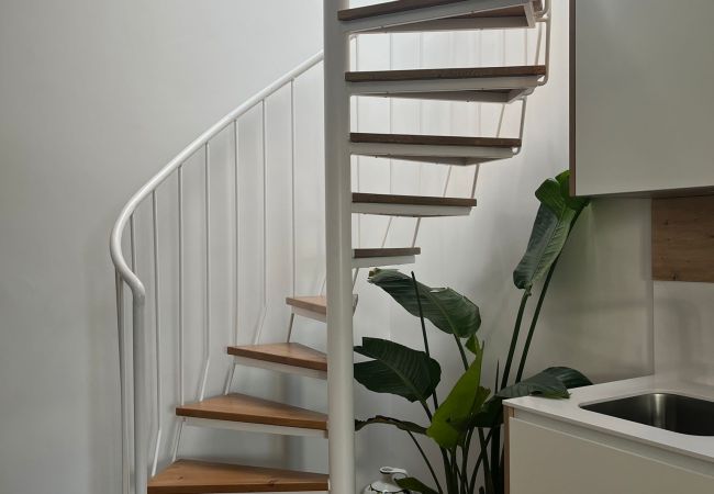 Apartamento en Cádiz - Hidden Gem  Penthouse El Mesón Apartamento en Cádiz - Hidden Gem  Penthouse El Mesón