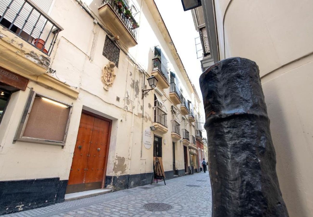 Apartamento en Cádiz - Lemon Tree Corazon de Cadiz Grupo AC Gestion