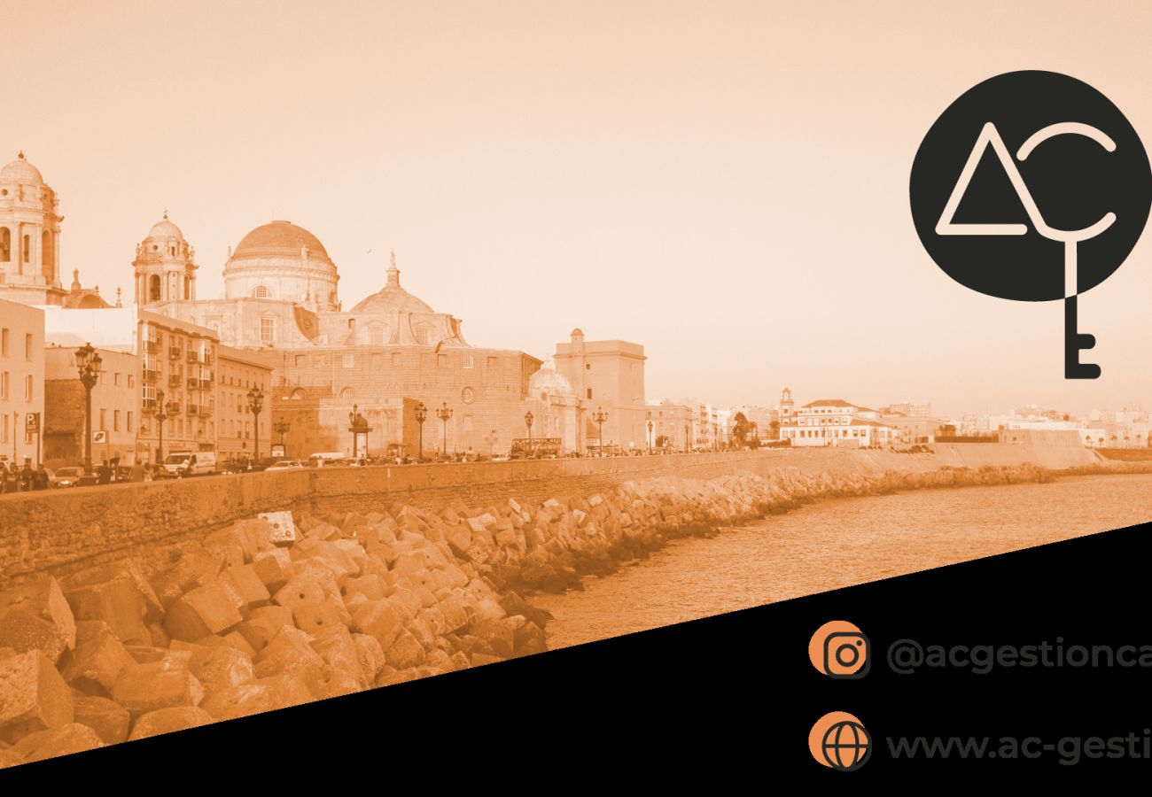 Apartamento en Cádiz - Lemon Tree Corazon de Cadiz Grupo AC Gestion