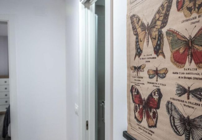 Apartamento en Cádiz - Brisa Marinera playa Grupo AC gestion Apartamento en Cádiz - Brisa Marinera playa Grupo AC gestion