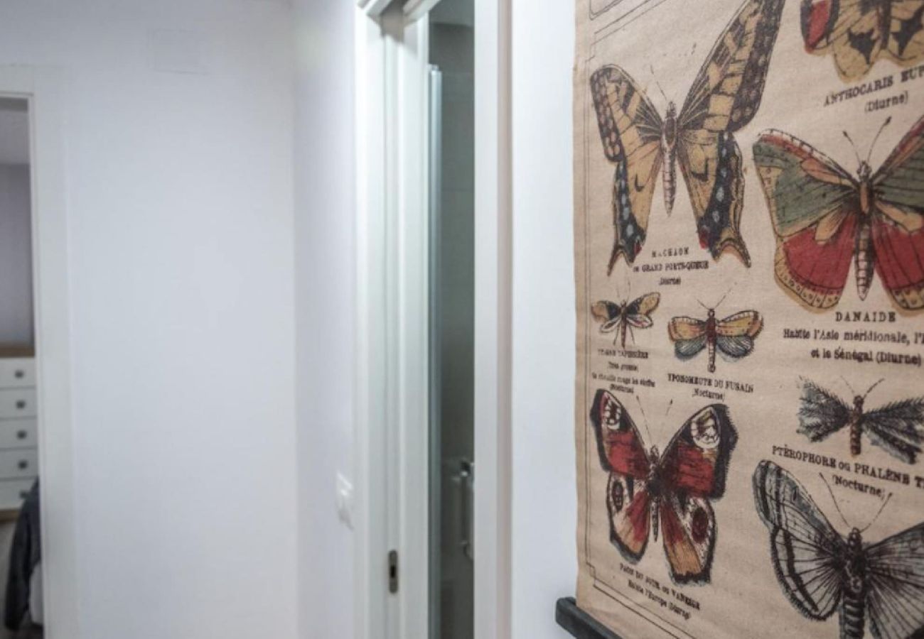 Apartamento en Cádiz - Brisa Marinera playa Grupo AC gestion Apartamento en Cádiz - Brisa Marinera playa Grupo AC gestion