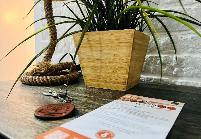 Apartamento en Cádiz - La Botica Grupo AC Gestion Apartamento en Cádiz - La Botica Grupo AC Gestion