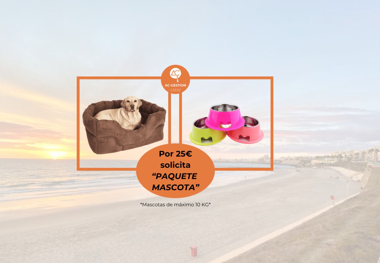 Apartamento en Cádiz - La Botica Grupo AC Gestion Apartamento en Cádiz - La Botica Grupo AC Gestion