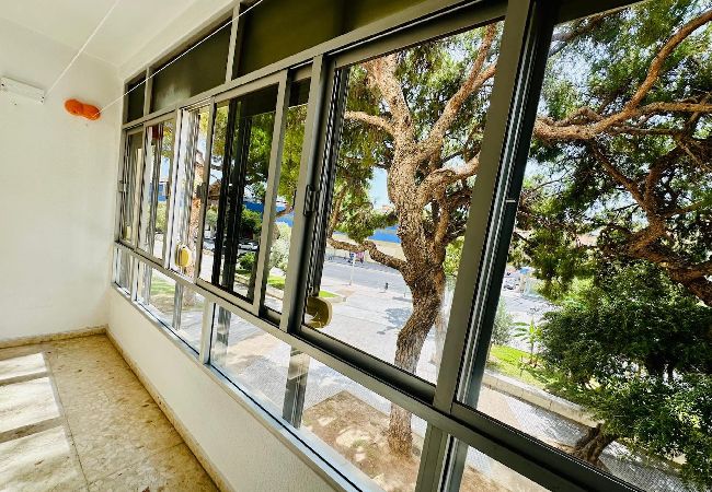 Apartamento en Cádiz - Avenida Portugal con Ascensor Grupo AC Gestión Apartamento en Cádiz - Avenida Portugal con Ascensor Grupo AC Gestión