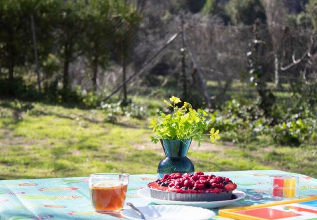 Casa rural en Grazalema - Casita Huerta Arriba Planta 0 Grupo AC Gestion Casa rural en Grazalema - Casita Huerta Arriba Planta 0 Grupo AC Gestion