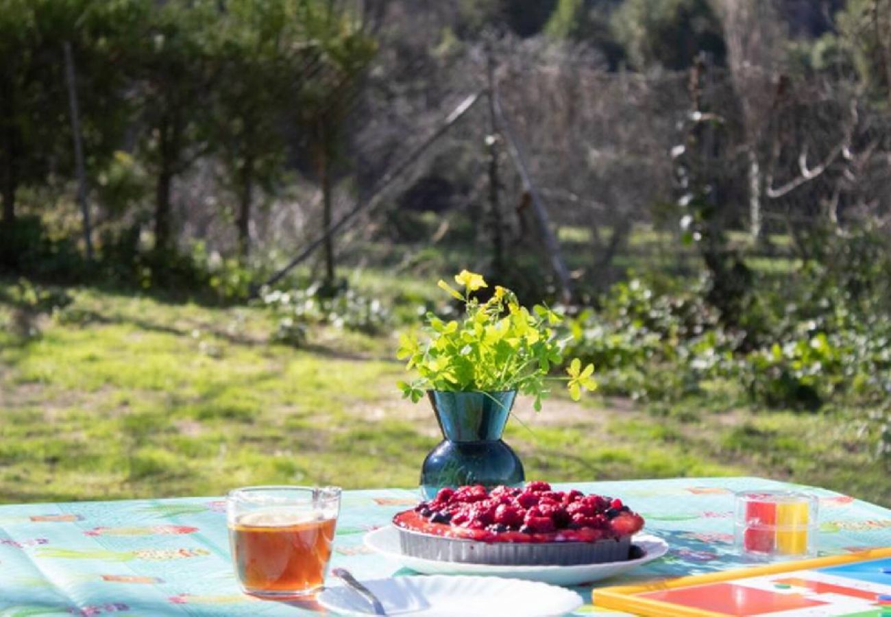 Casa rural en Grazalema - Casita Huerta Arriba Planta 0 Grupo AC Gestion Casa rural en Grazalema - Casita Huerta Arriba Planta 0 Grupo AC Gestion