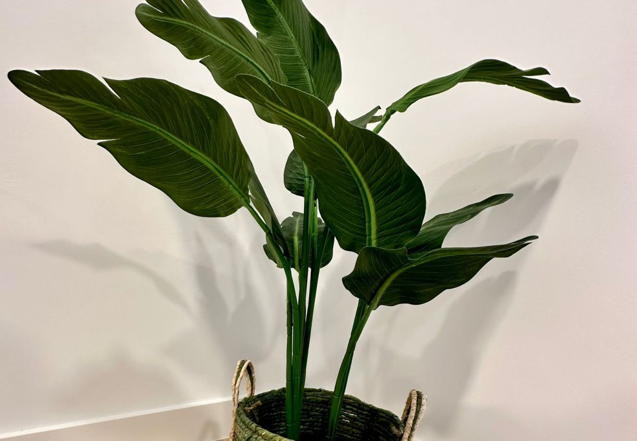 Apartamento en Cádiz - La Muralla 203 Adaptado Grupo AC Gestion Apartamento en Cádiz - La Muralla 203 Adaptado Grupo AC Gestion