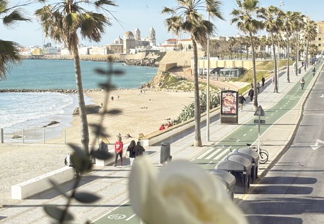 Apartamento en Cádiz - La Palmera Grupo AC Gestion Apartamento en Cádiz - La Palmera Grupo AC Gestion