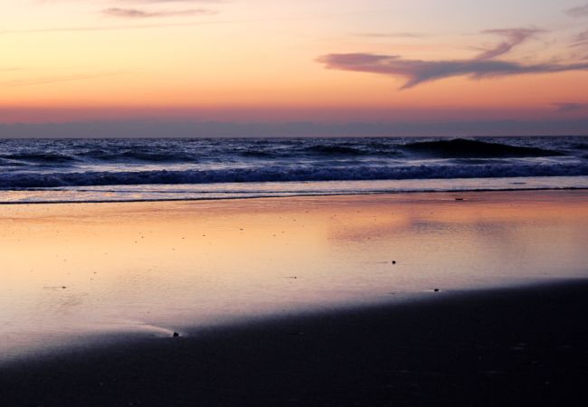 Apartamento en Cádiz - Torre Tavira Ascensor Grupo AC Gestion Apartamento en Cádiz - Torre Tavira Ascensor Grupo AC Gestion