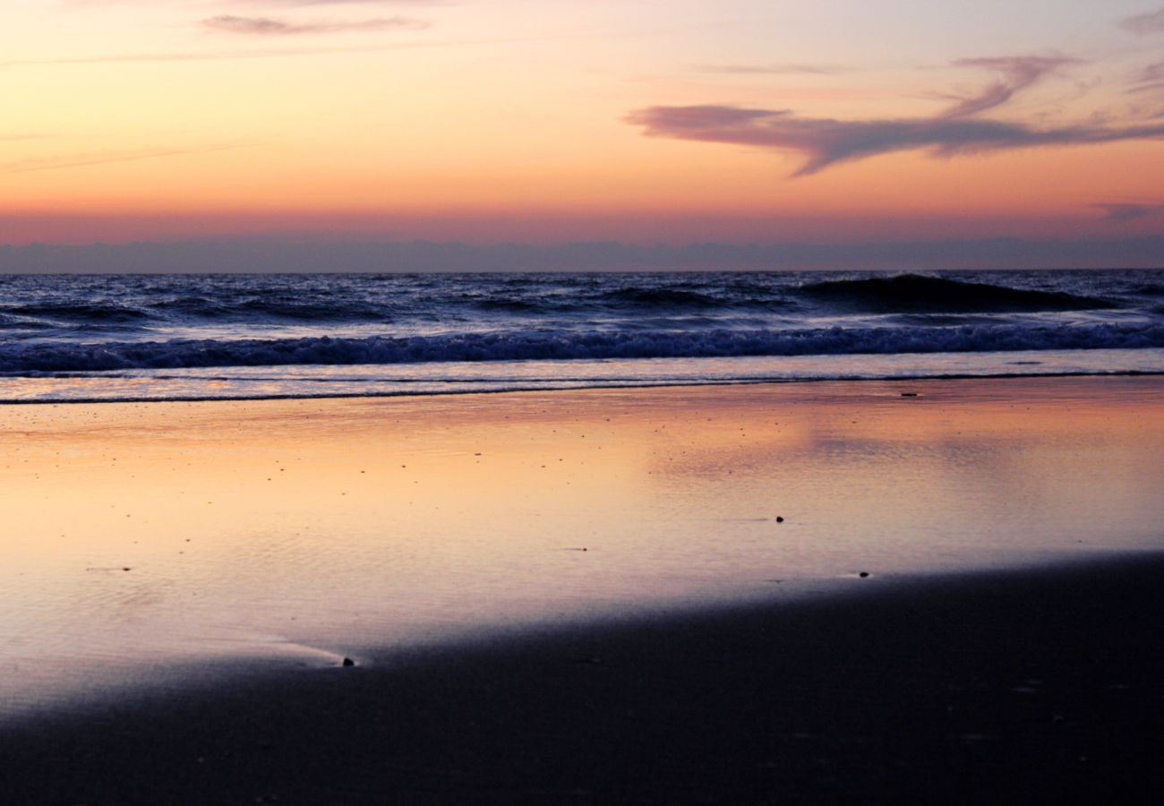 Apartamento en Cádiz - Torre Tavira Ascensor Grupo AC Gestion Apartamento en Cádiz - Torre Tavira Ascensor Grupo AC Gestion