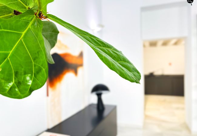 Apartamento en Cádiz - Casa Columela Grupo AC Gestion Apartamento en Cádiz - Casa Columela Grupo AC Gestion