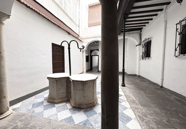 Apartamento en Cádiz - Penthouse Libertad Grupo AC Gestion Apartamento en Cádiz - Penthouse Libertad Grupo AC Gestion