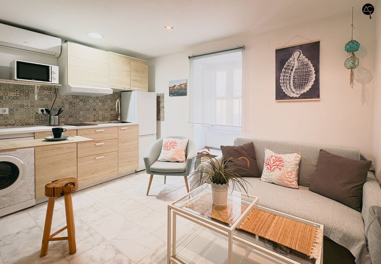Apartamento en Cádiz - Viña Coqueta Grupo AC Gestion