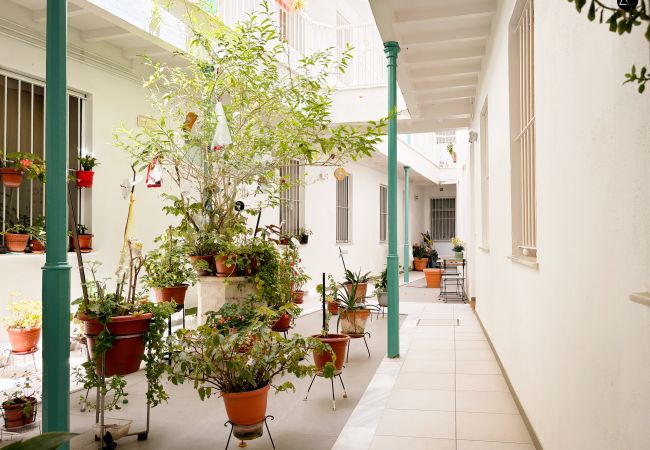 Apartamento en Cádiz - El Patio del Mar Grupo AC Gestion Apartamento en Cádiz - El Patio del Mar Grupo AC Gestion