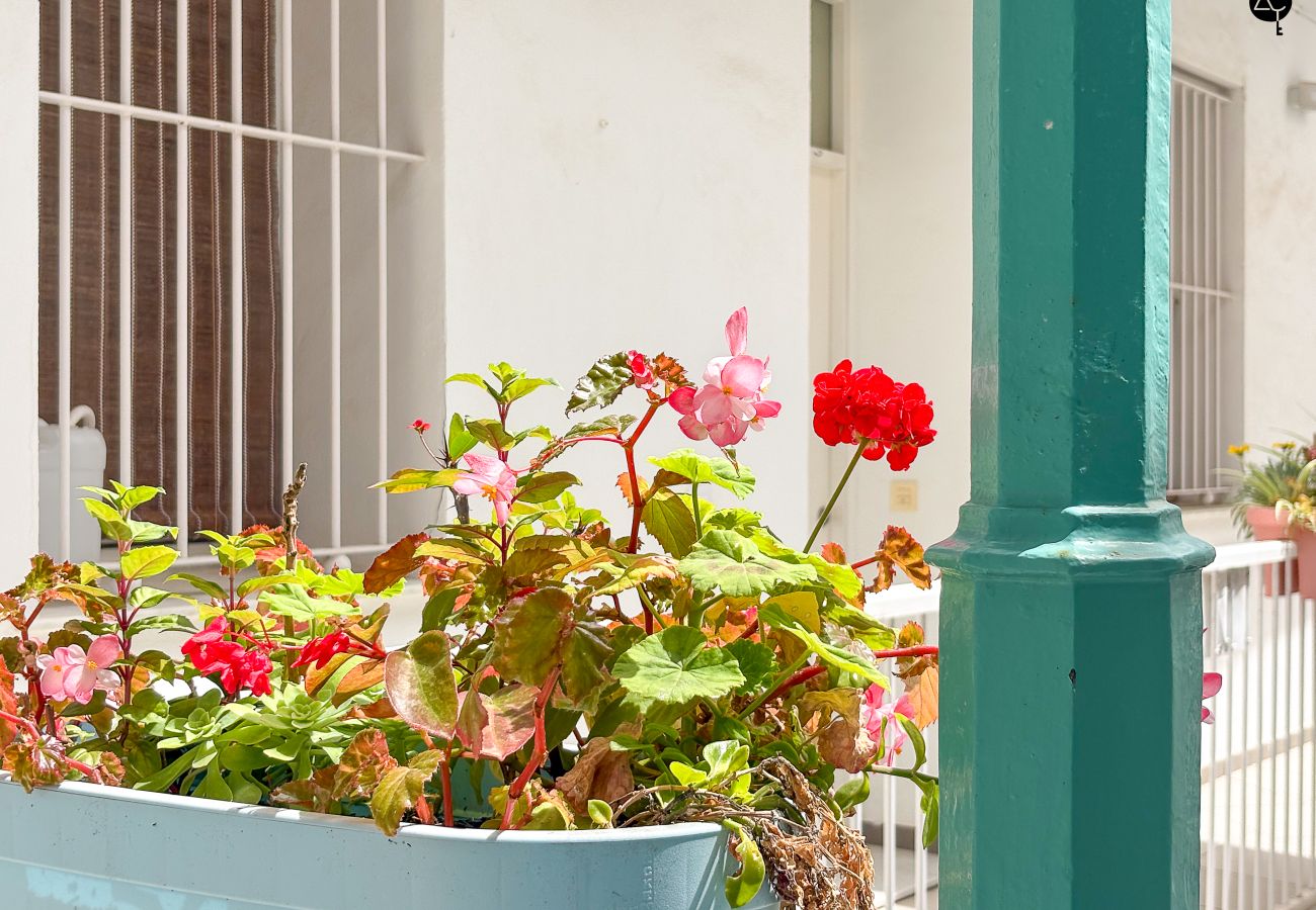 Apartamento en Cádiz - El Patio del Mar Grupo AC Gestion