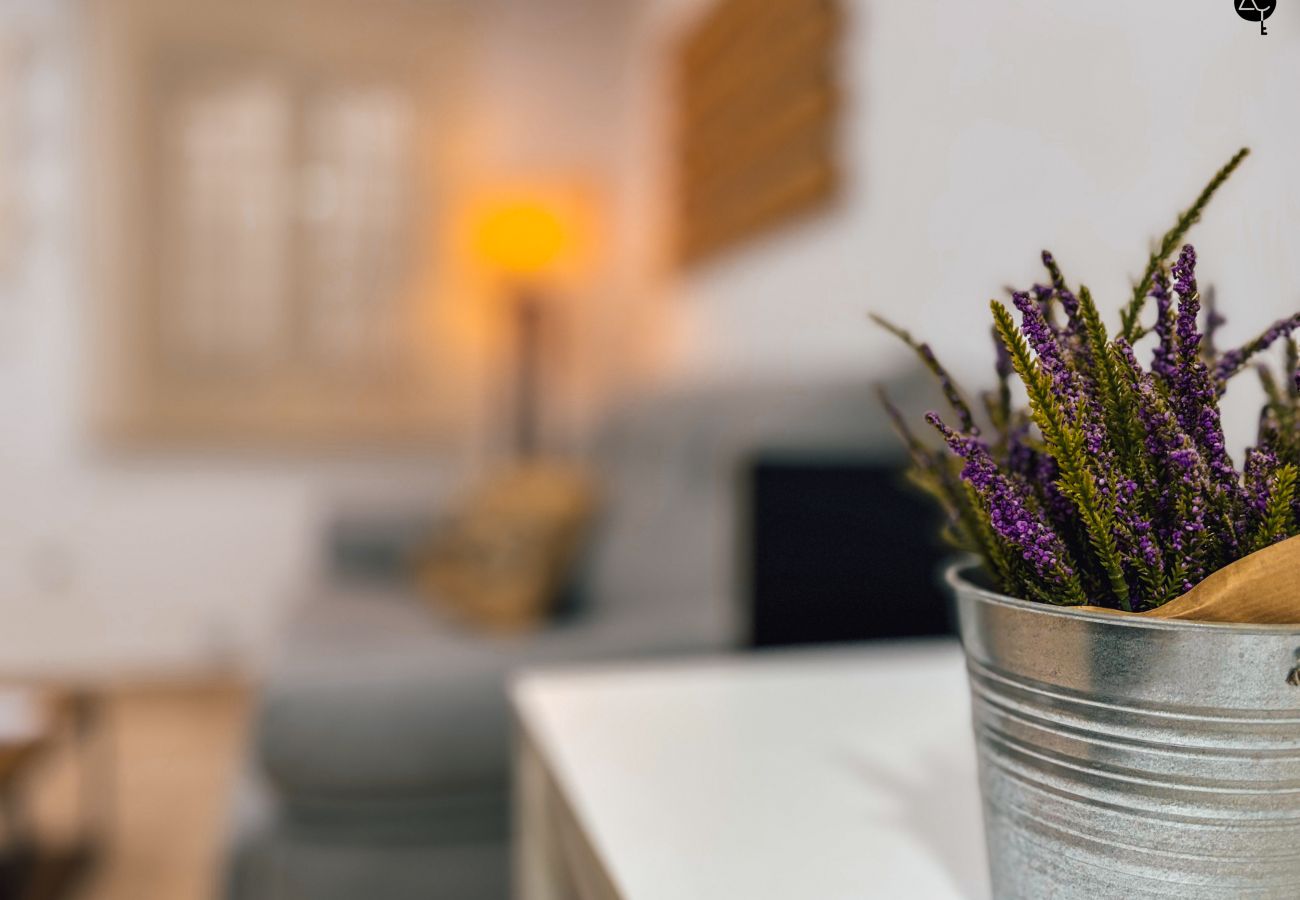 Apartamento en Cádiz - La Caleta Prime Grupo AC Gestion